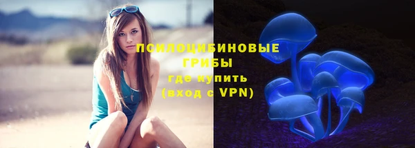 сатива Алексин