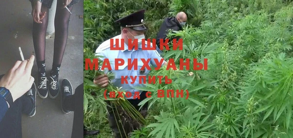 сатива Алексин