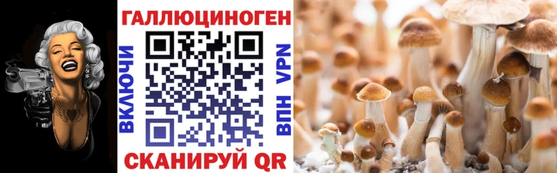 где купить наркоту  Гуково  Галлюциногенные грибы ЛСД 