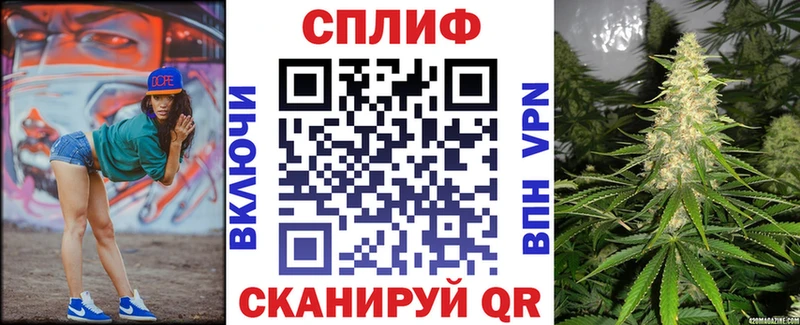 Каннабис план как найти наркотики Гуково